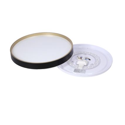 LED-Deckenleuchte FLORIDA LED/18W/230V schwarz