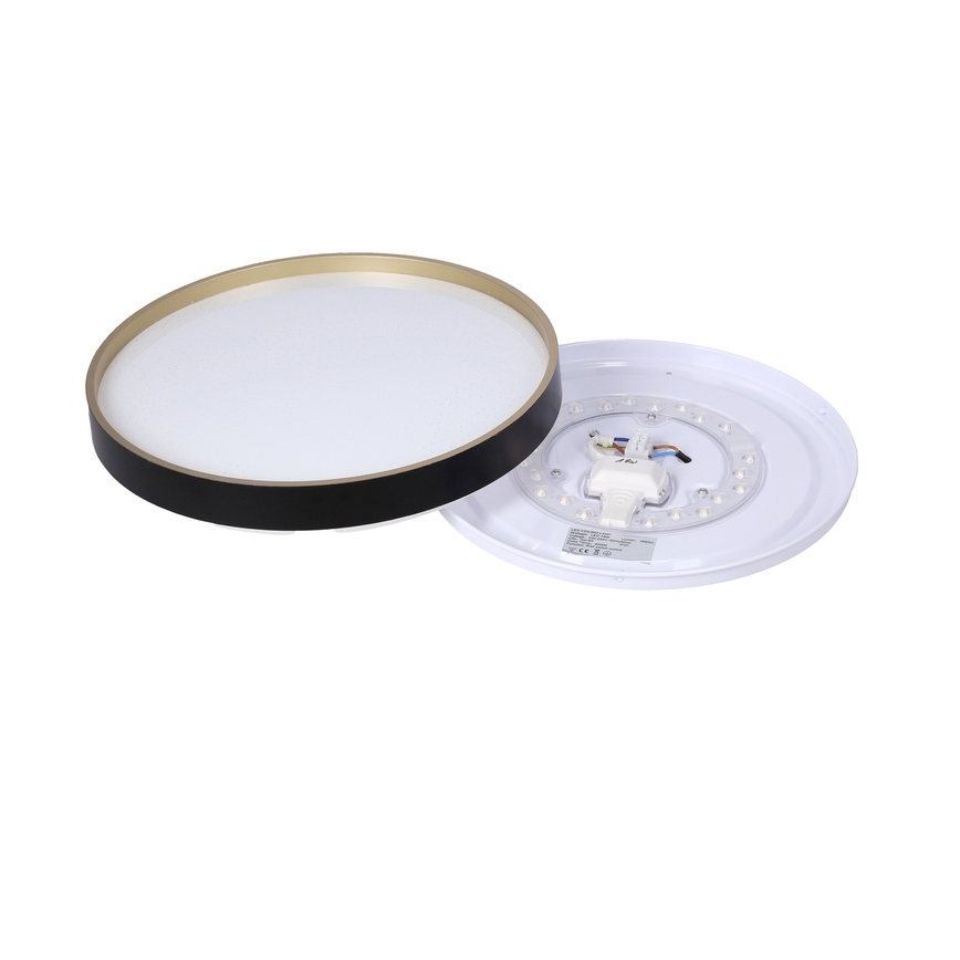 LED-Deckenleuchte FLORIDA LED/18W/230V schwarz