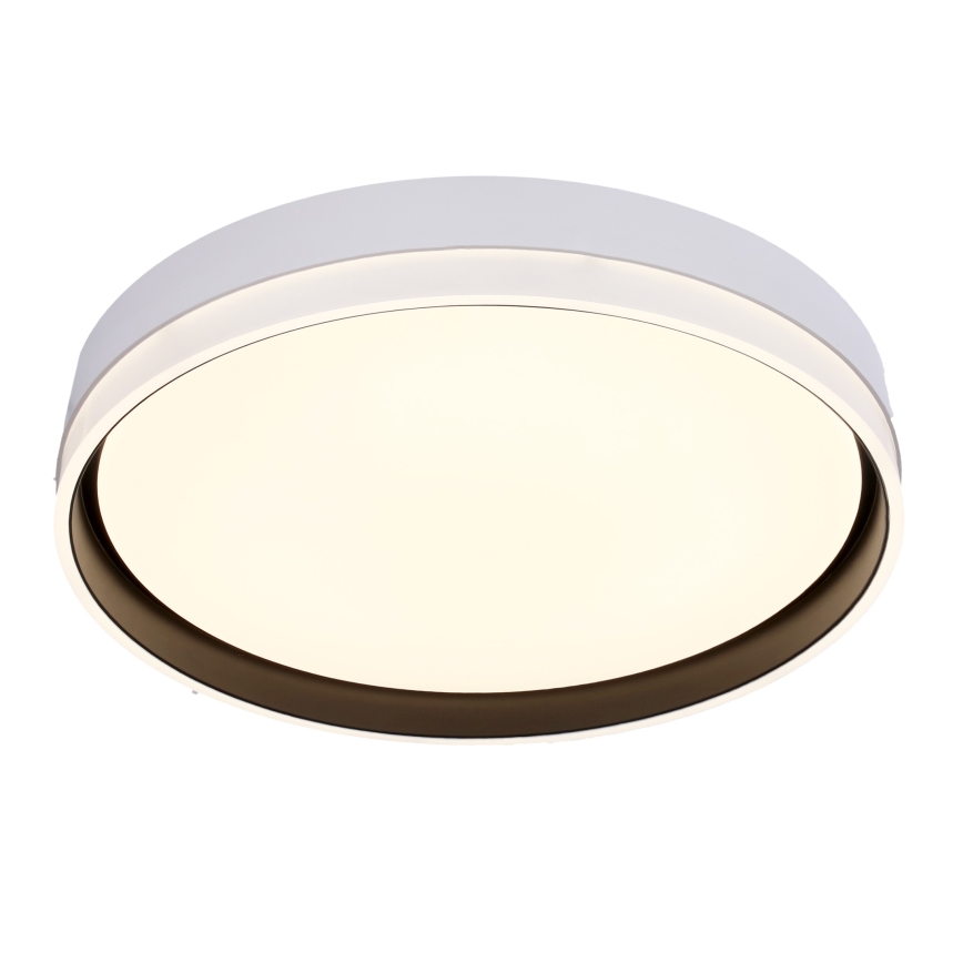 LED-Deckenleuchte FLORIDA LED/24W/230V weiß