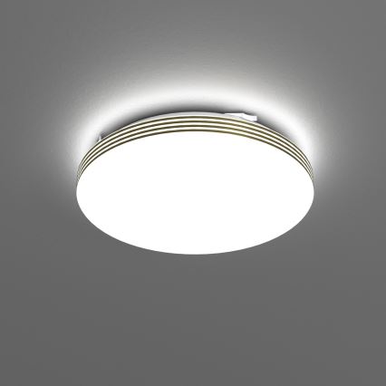 LED-Deckenleuchte für Badezimmer BEVER LED/10W/230V 4000K d 26 cm IP44