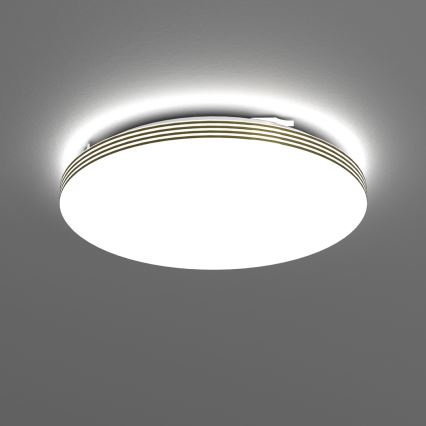 LED-Deckenleuchte für Badezimmer BEVER LED/16W/230V 4000K d 33 cm IP44