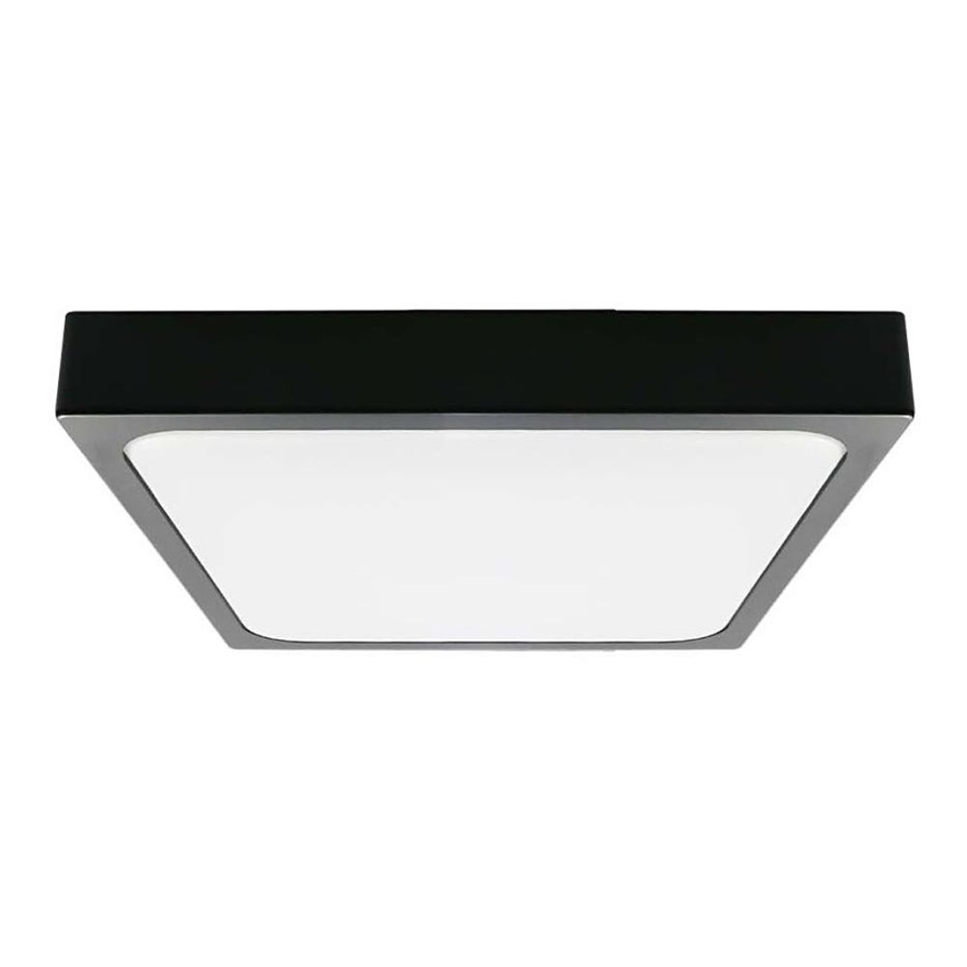 LED-Deckenleuchte für Badezimmer LED/18W/230V 6500K IP44 22,5x22,5 cm schwarz