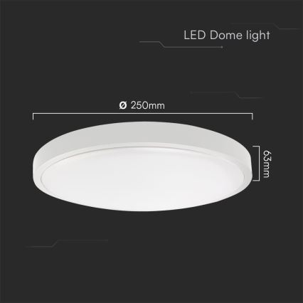 LED-Deckenleuchte für Badezimmer SAMSUNG CHIP LED/18W/230V IP44 6500K d 25 cm weiß