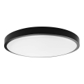 LED-Deckenleuchte für Badezimmer LED/24W/230V 3000K IP44 d 29,5 cm schwarz