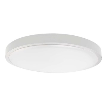 LED-Deckenleuchte für Badezimmer LED/24W/230V 6500K IP44 weiß