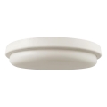 LED-Deckenleuchte für Badezimmer LED/24W/230V 6500K IP54 d 24 cm