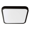 LED-Deckenleuchte für Badezimmer LED/48W/230V 6500K IP44 42x42 cm schwarz
