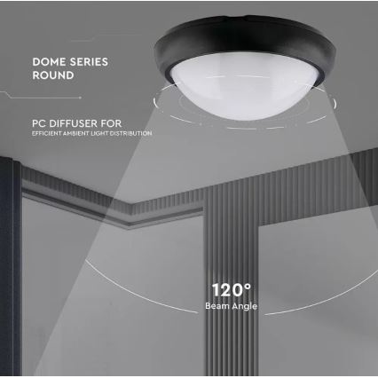 LED-Deckenleuchte für den Außenbereich LED/12W/230V IP54