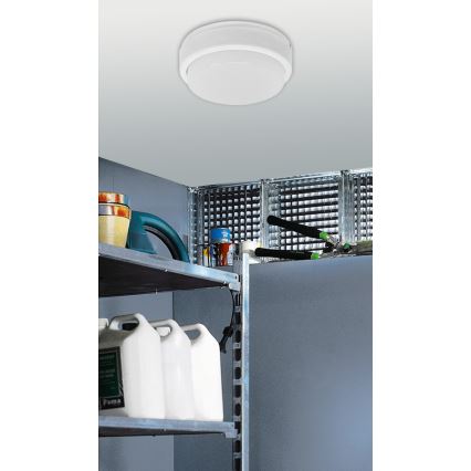 LED Industrielle Deckenleuchte VARNA PLUS LED/10W/230V