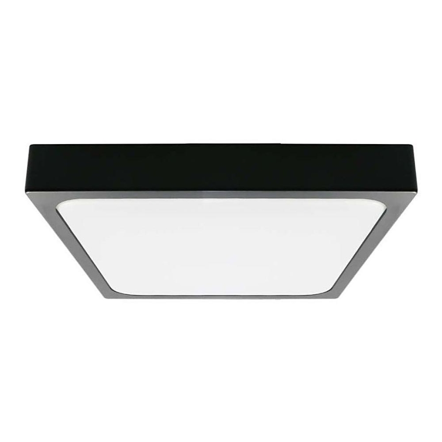 LED-Deckenleuchte fürs Badezimmer LED/24W/230V 6500K IP44 schwarz