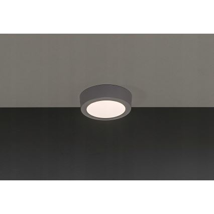 LED-Deckenleuchte GERRIT LED/6W/230V 3.000K