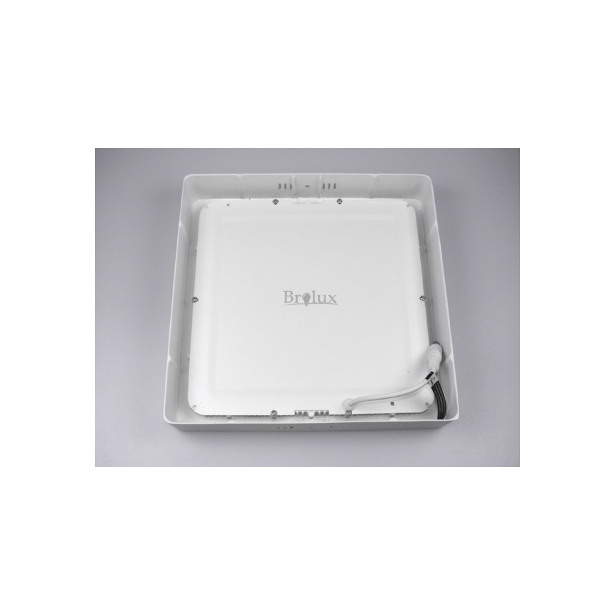 LED-Deckenleuchte GERRY LED/12W/230V 3000K weiß