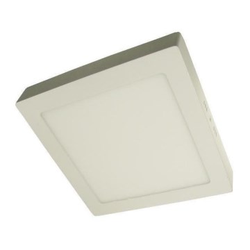 LED-Deckenleuchte GERRY LED/24W/230V 4.000K