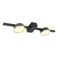 LED-Deckenleuchte JOY 2xGX53/6W/230V schwarz