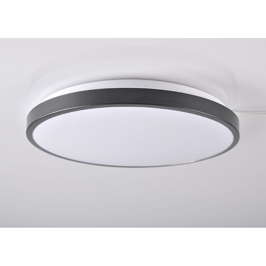 LED Deckenleuchte KERN LED/24W/230V schwarz