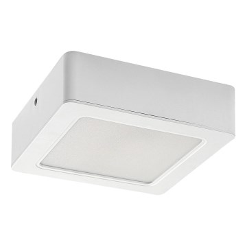 LED Deckenleuchte LED/12W/230V 14,5 cm