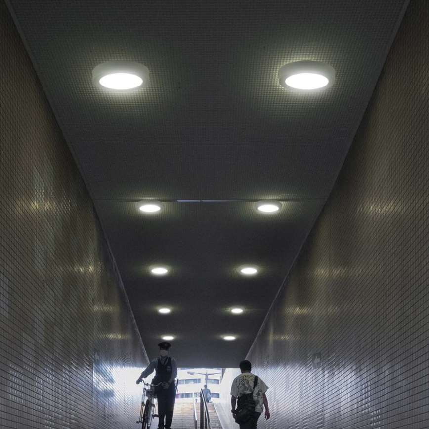 LED-Deckenleuchte LED/12W/230V 3000K d 16,7 cm weiß