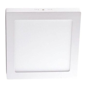 LED-Deckenleuchte LED/12W/230V 4000K 17,2x17,2 cm