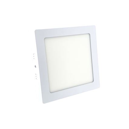 LED Deckenleuchte LED/12W/230V 6500K