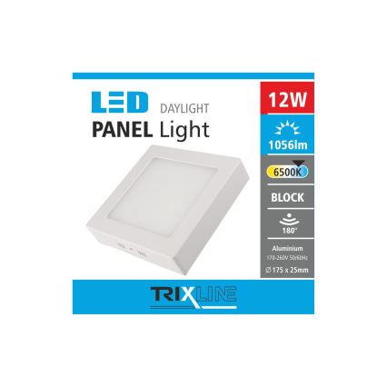 LED Deckenleuchte LED/12W/230V 6500K