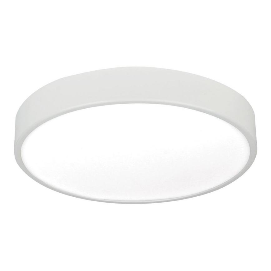 LED Deckenleuchte LED/16W/230V