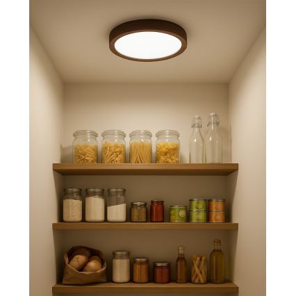 LED-Deckenleuchte LED/18W/230V 3000/4000/6500K Ø 23 cm braun