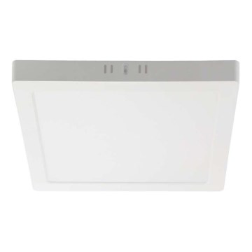 LED-Deckenleuchte LED/18W/230V 6500K 21,4x21,4 cm weiß