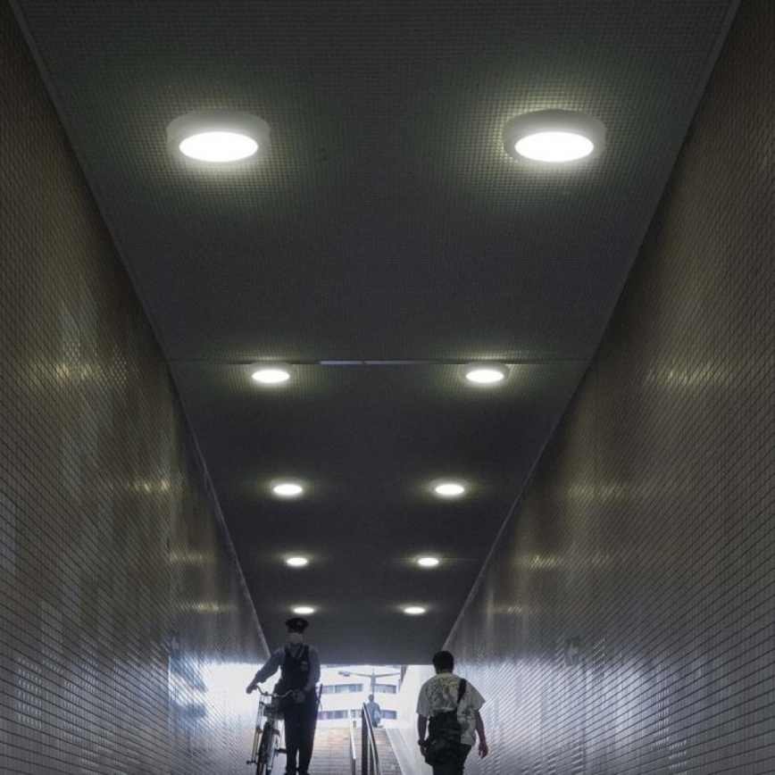 LED-Deckenleuchte LED/18W/230V 6500K d 21,6 cm