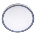 LED Deckenleuchte LED/18W/230V Ø 30 cm weiß/grau