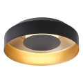 LED-Deckenleuchte LED/20W/230V 3000K schwarz