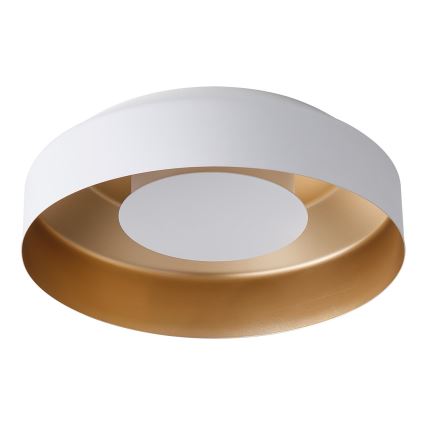 LED-Deckenleuchte LED/20W/230V 3000K weiß