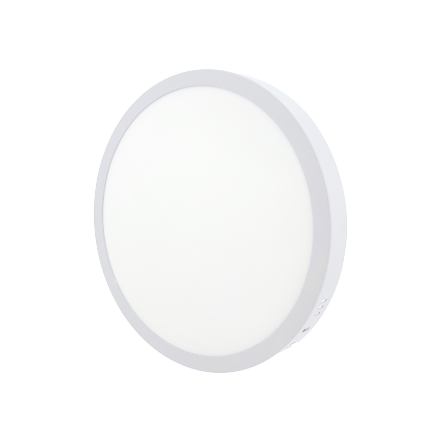 LED Deckenleuchte LED/24W/230V 4200K