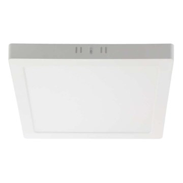 LED-Deckenleuchte LED/24W/230V 6500K 28,7x28,7 cm weiß