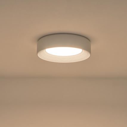 LED-Deckenleuchte LED/30W/230V 3000K weiß