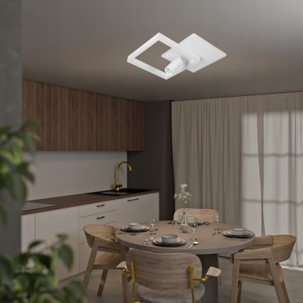 LED Deckenleuchte LED/38W/230V + 1xGU10/30W weiß