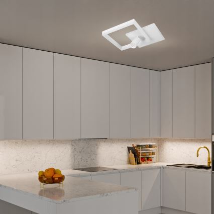 LED Deckenleuchte LED/38W/230V + 1xGU10/30W weiß