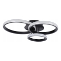 LED Deckenleuchte LED/38W/230V schwarz