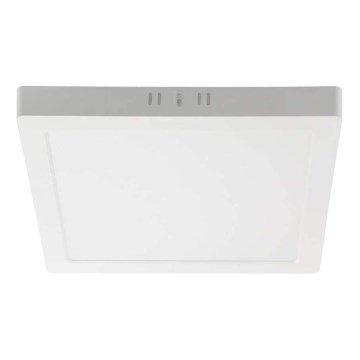 LED-Deckenleuchte LED/6W/230V 6500K 12x12 cm weiß