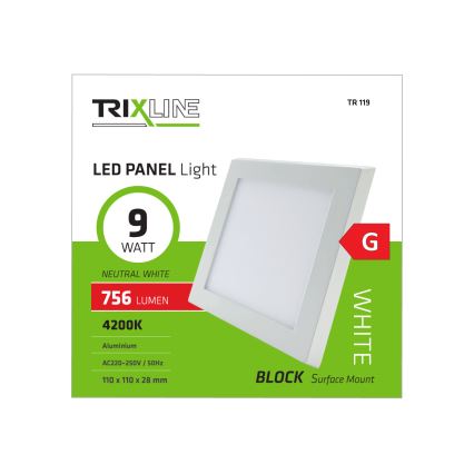 LED Deckenleuchte LED/9W/230V 4200K