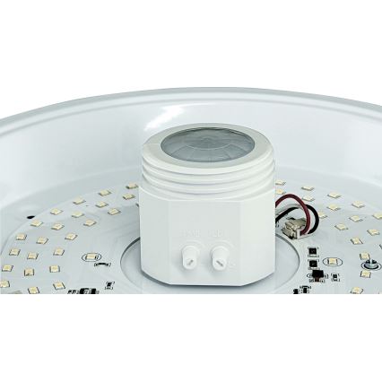 LED-Deckenleuchte mit Bewegungs- und Dämmerungssensor und Notstrommodul MANA LED/12W/230V 1500 mAh Ø 29 cm weiß