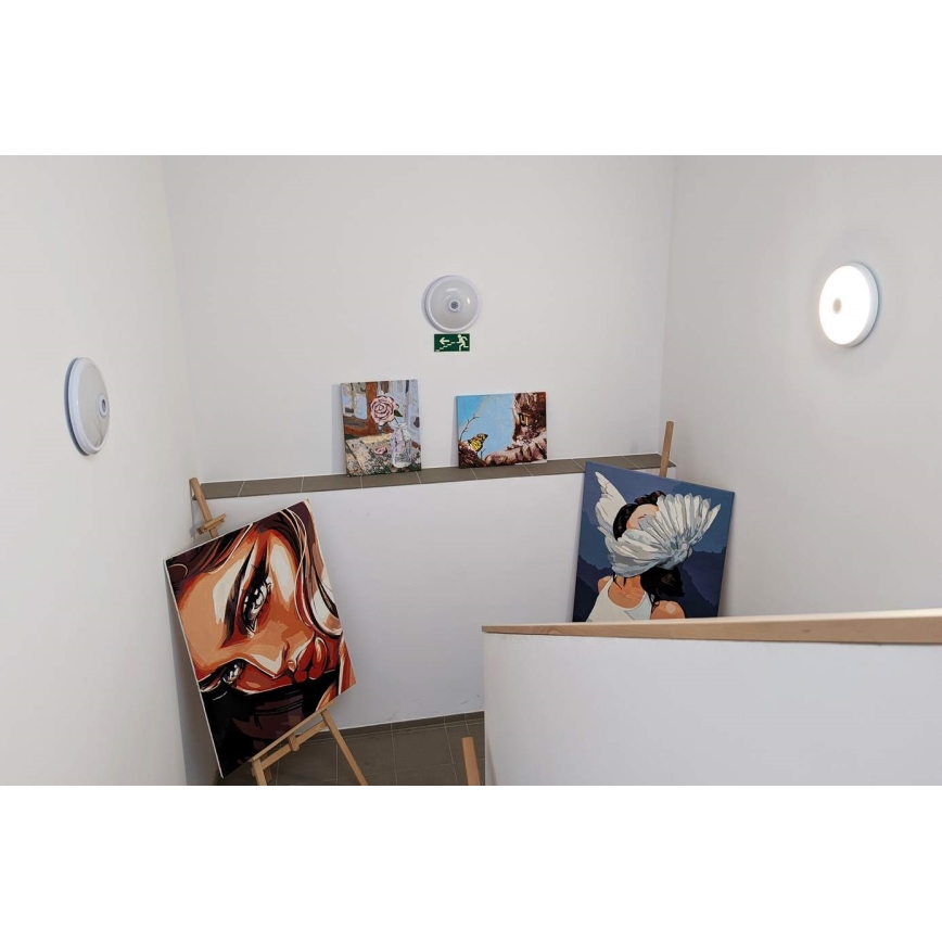 LED-Deckenleuchte mit Bewegungs- und Dämmerungssensor LED/16W/230V Ø 29 cm weiß