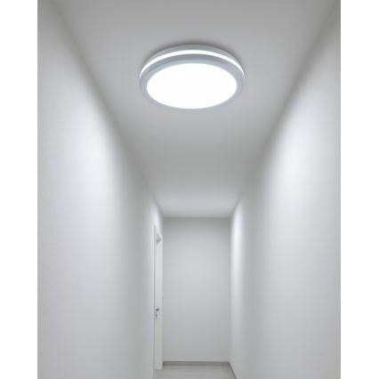 LED-Badezimmer-Deckenleuchte mit Bewegungsmelder LED/20W/230V 3000/4000/6500K Ø 23 cm IP54 weiß