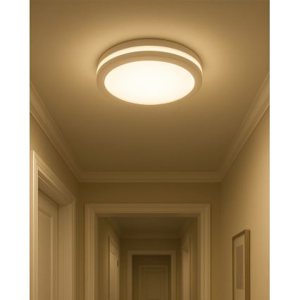 LED-Badezimmer-Deckenleuchte mit Bewegungsmelder LED/20W/230V 3000/4000/6500K Ø 23 cm IP54 weiß