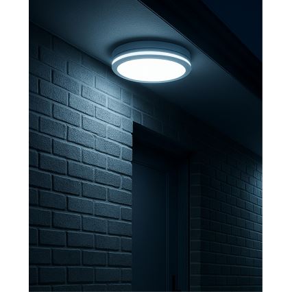 LED-Badezimmer-Deckenleuchte mit Bewegungsmelder LED/20W/230V 3000/4000/6500K Ø 23 cm IP54 weiß