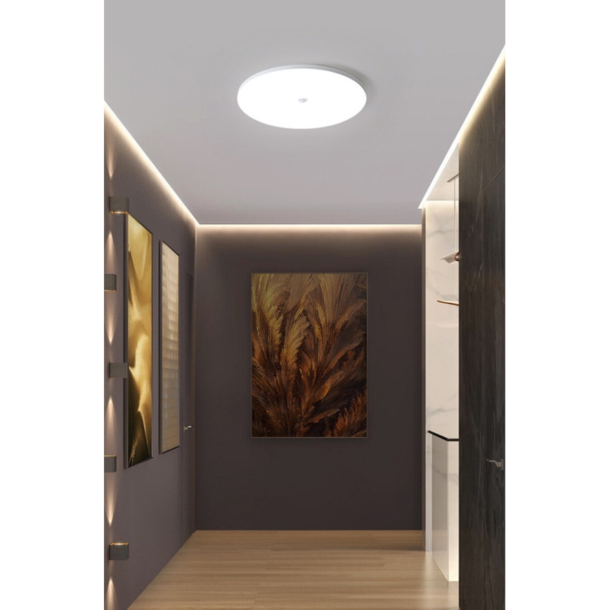 LED-Deckenleuchte mit Dämmerungs- und Bewegungsmelder MORETTI LED/24W/230V Ø 30 cm IP40 6500K
