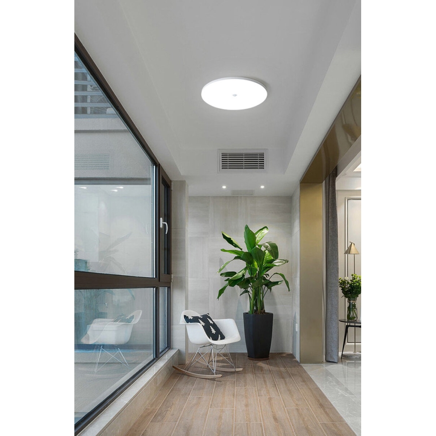 LED-Deckenleuchte mit Dämmerungs- und Bewegungsmelder MORETTI LED/24W/230V Ø 30 cm IP40 6500K
