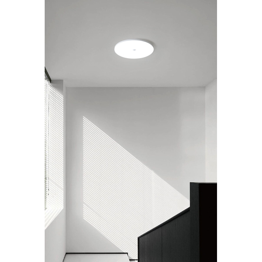LED-Deckenleuchte mit Dämmerungs- und Bewegungsmelder MORETTI LED/24W/230V Ø 30 cm IP40 6500K