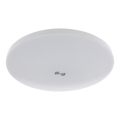 LED-Deckenleuchte mit Dämmerungs- und Bewegungsmelder MORETTI LED/24W/230V Ø 30 cm IP40 6500K