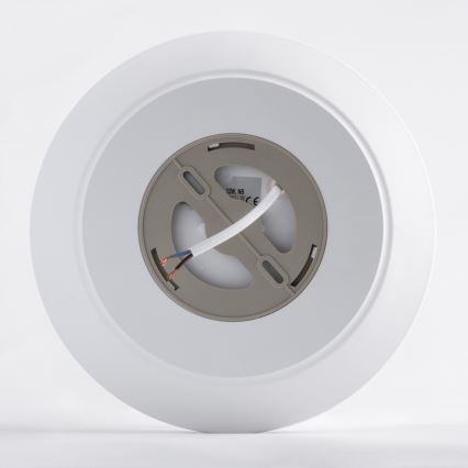 LED-Deckenleuchte mit Sensor AVESTA LED/12W/230V 4000K IP54
