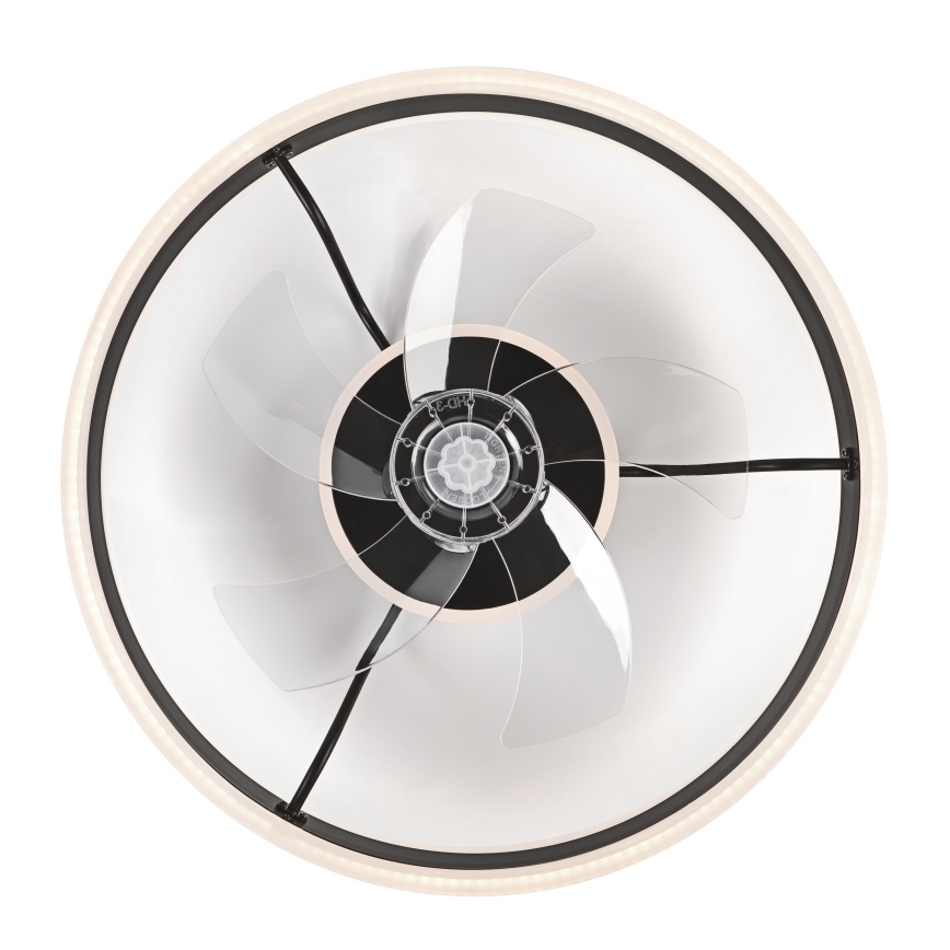 Dimmbare LED-Deckenleuchte mit Ventilator APOLLO LED/38W/230V schwarz + Fernbedienung